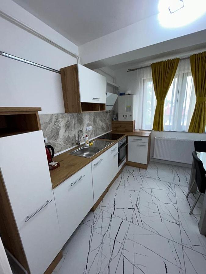 Marvellous Aparthotel With Master Apartments Сучава Екстер'єр фото